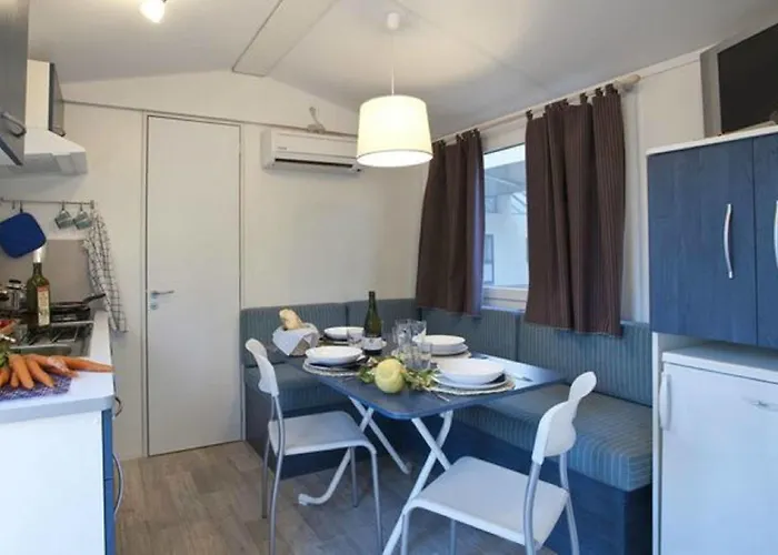 Kemp Serenissima Malcontenta