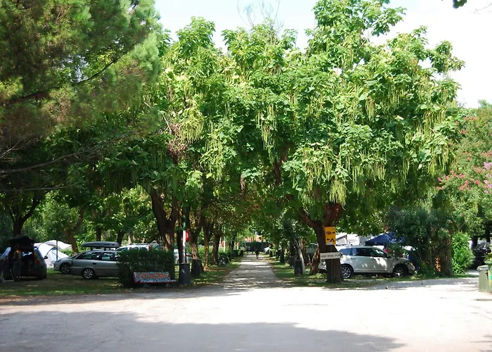 Kemp Serenissima Malcontenta