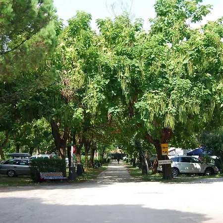 Kamp alanı Serenissima Malcontenta